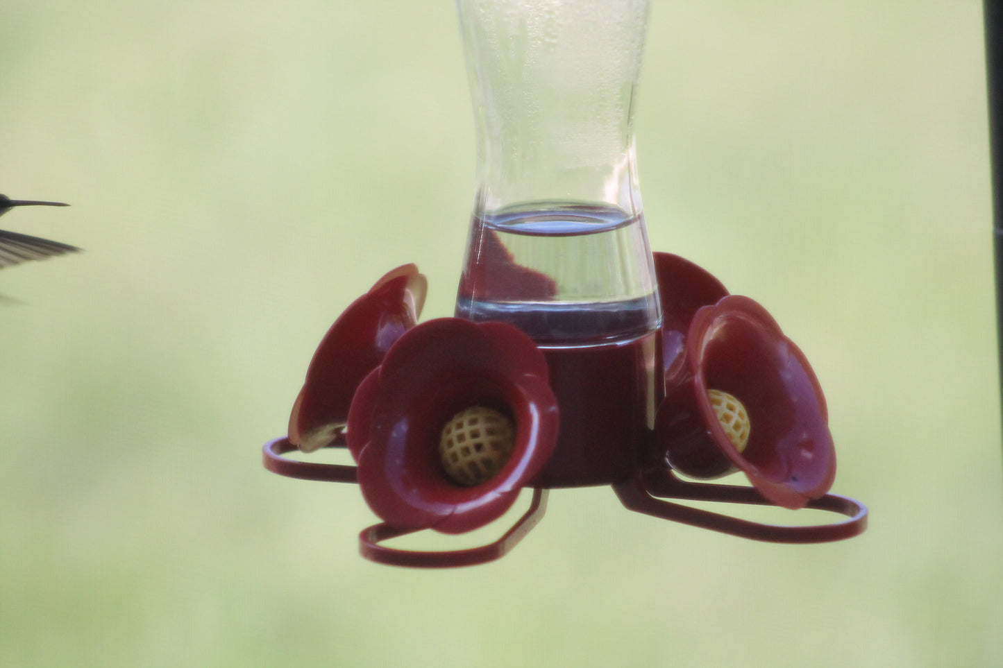 HummingBird Test2