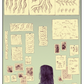 Bulgilhan+Press+-+Far+Distant+-+Review+-+Sample+Page+02