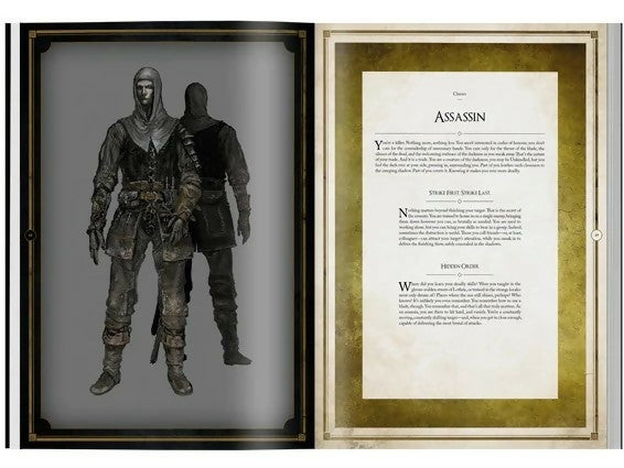 dsrpg-characterspreadassassin-min-600x-1650457988697