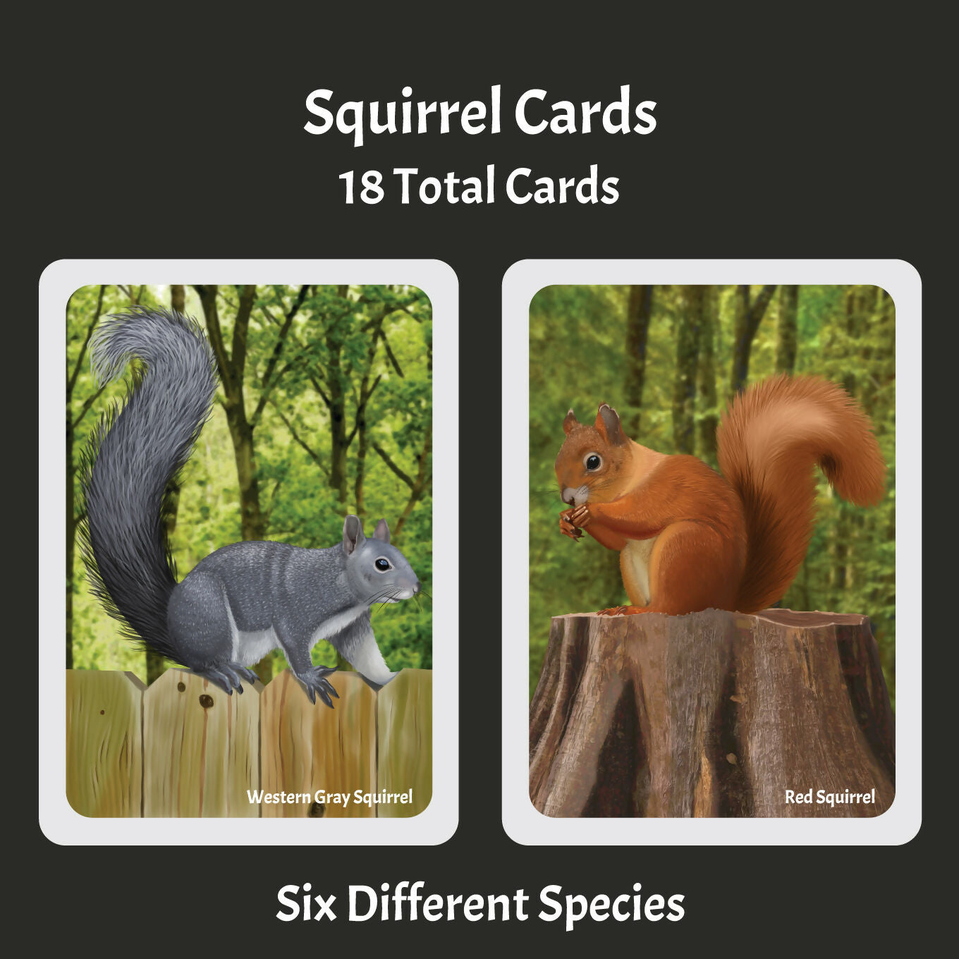 Squirrels The Card Game