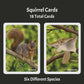 Squirrels The Card Game