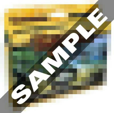 CCG Game Sample4